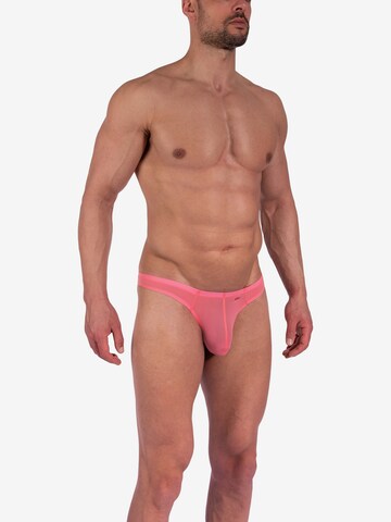Olaf Benz Panty ' RED0965 Ministring ' in Pink: front