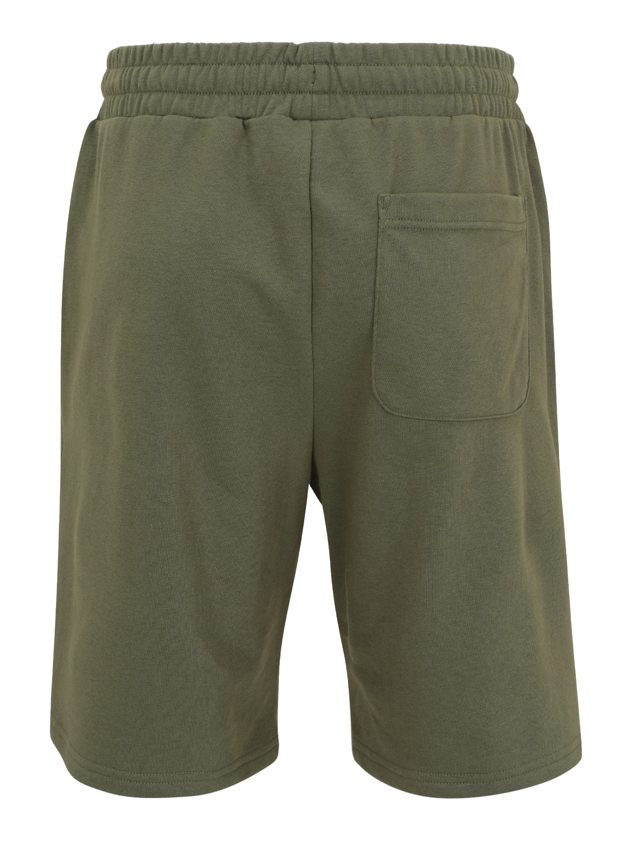 CONVERSE Обычный Штаны в Зеленый