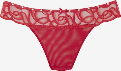 PETITE FLEUR GOLD by LASCANA Tanga gaćice veličine XS u klasično crvena, Pregled proizvoda