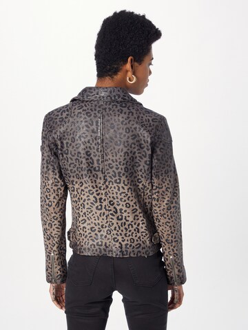 Gipsy Between-Season Jacket 'Cheetah' in Grey