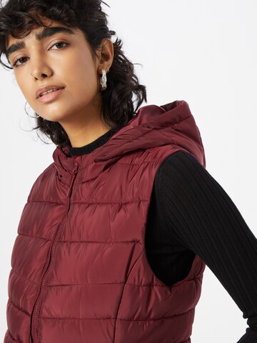 ABOUT YOU Bodywarmer 'Laureen' in Rood