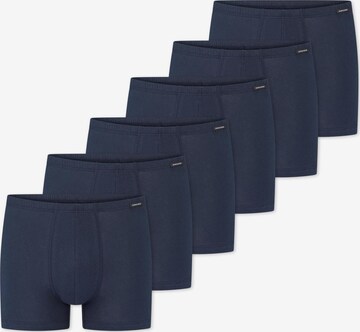 SCHIESSER Boxer shorts 'Cotton Essentials' in Blue: front