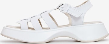 CESARE GASPARI Sandals in White: front