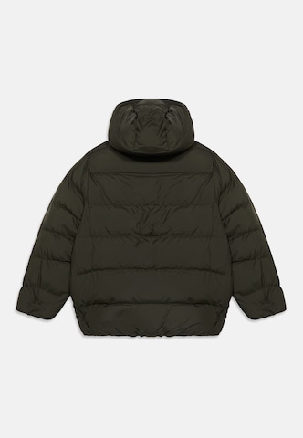 ADIDAS ORIGINALS Демисезонная куртка в Зеленый