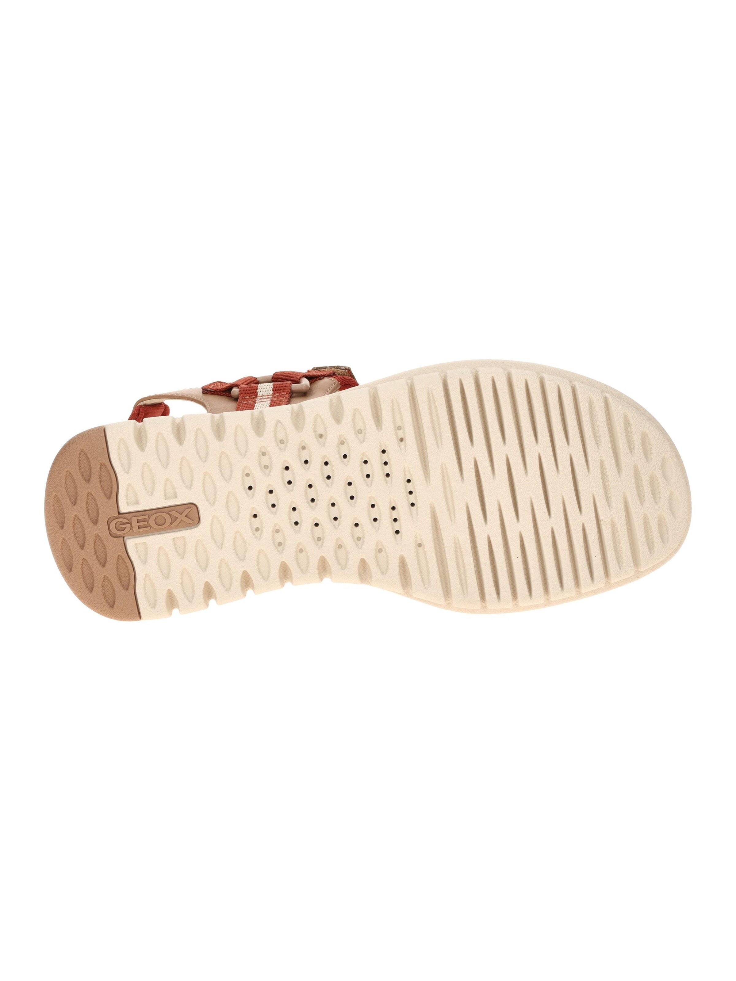 GEOX Sandale‌‌‌‌‌‌‌‌‌‌ in Braun