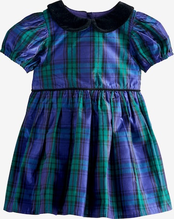 mėlyna Next Suknelė: priekis