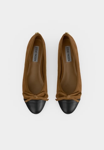 STEVE MADDEN Ballerina 'ELLISON' in Braun