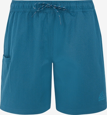 PROTEST Board shorts 'PRTAGAAT' in Blue: front