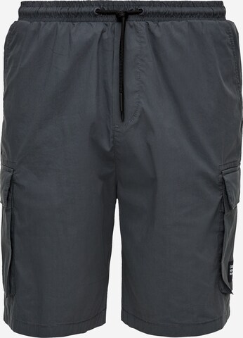 s.Oliver Regular Cargo Pants in Grey: front