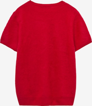 Pullover di Adolfo Dominguez in rosso: frontale