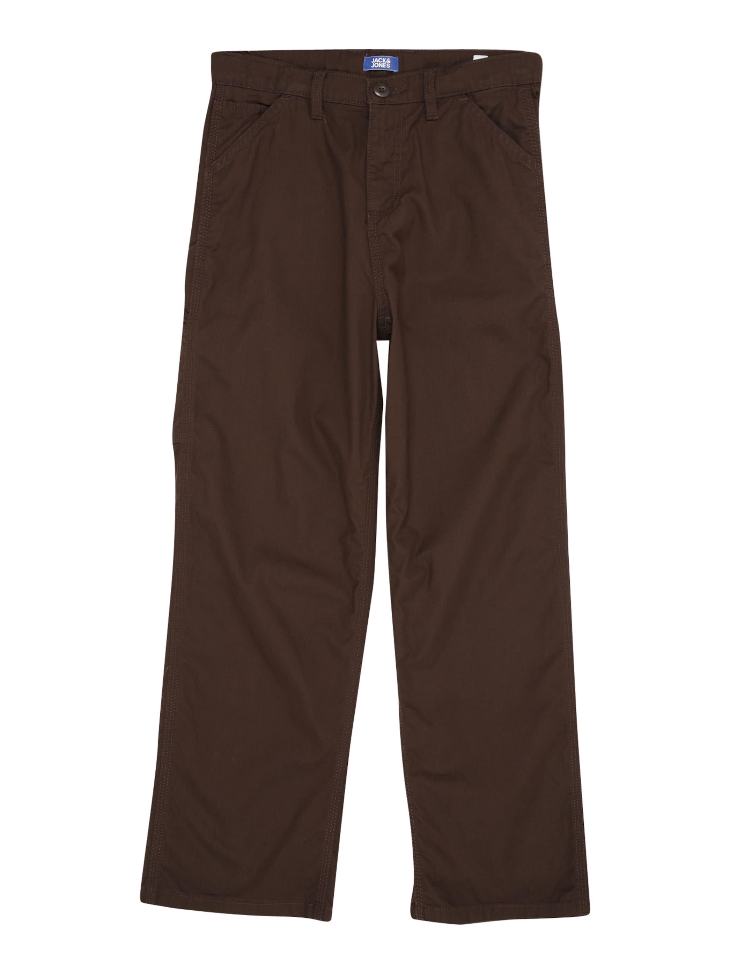 Jack & Jones Junior Loose fit Trousers 'JPSTALEX ANDRE' in Brown: front