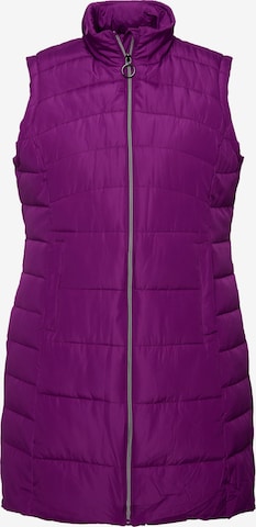 Gilet Ulla Popken en violet : devant