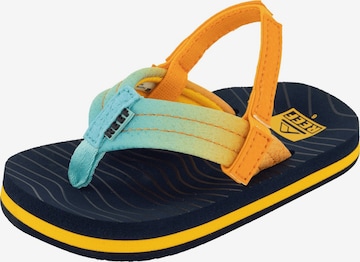 REEF Beach & Pool Shoes 'Little Ahi' in Mixed colors: front