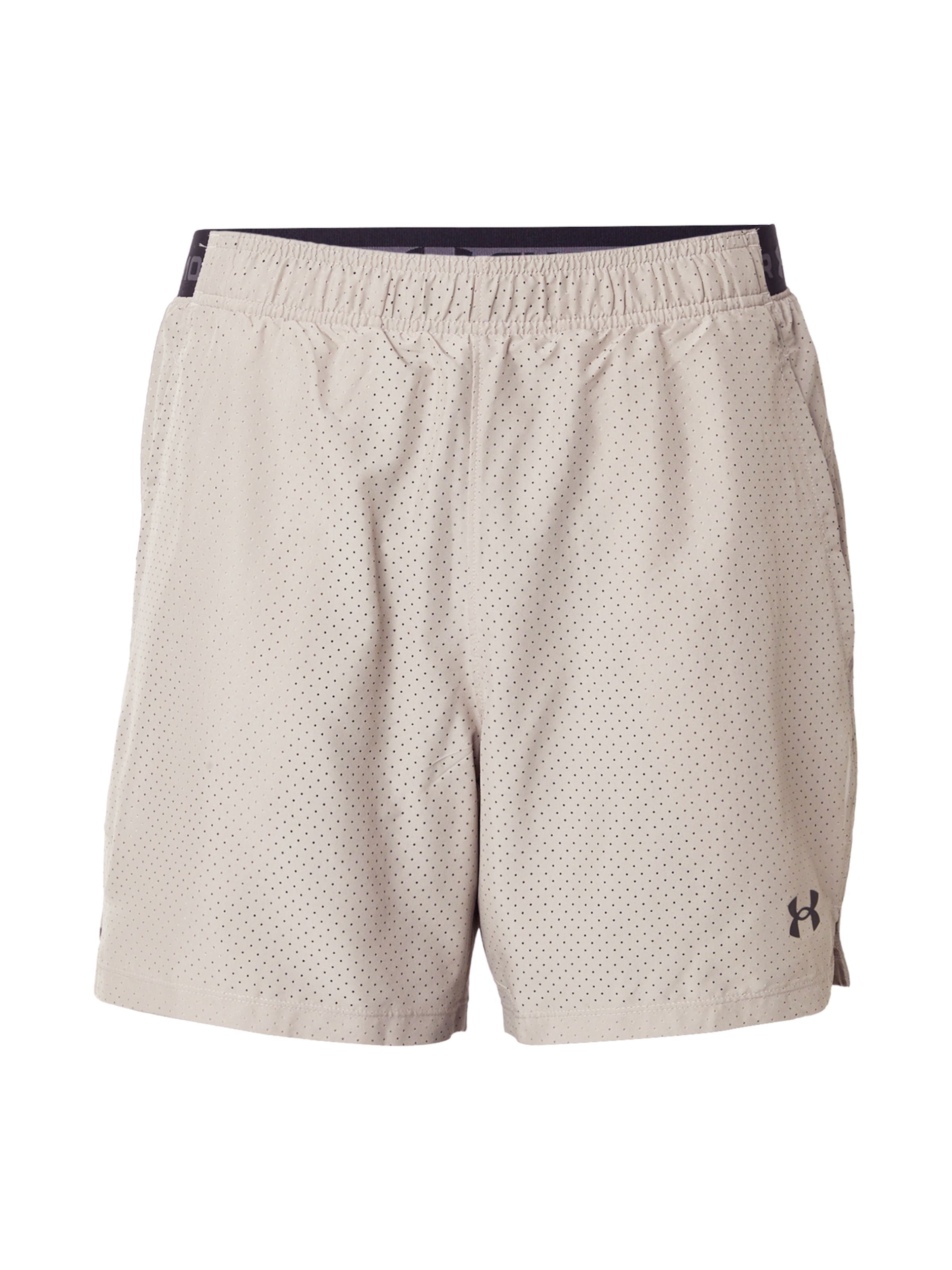 UNDER ARMOUR - regular Pantalón deportivo 'Vanish 2.0' en gris: frente