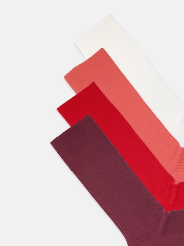 Chaussettes 'Ribbed Just Red' DillySocks en mélange de couleurs