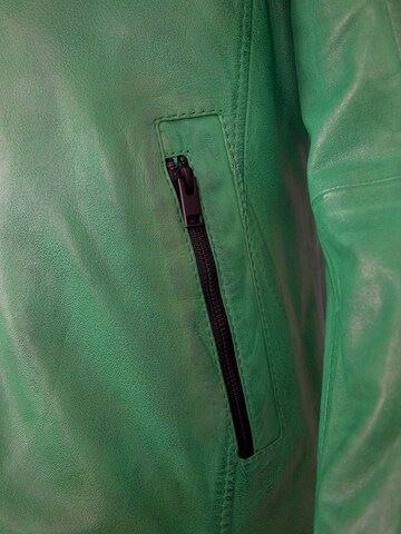 Jilani Tussenjas 'Ragon' in Groen