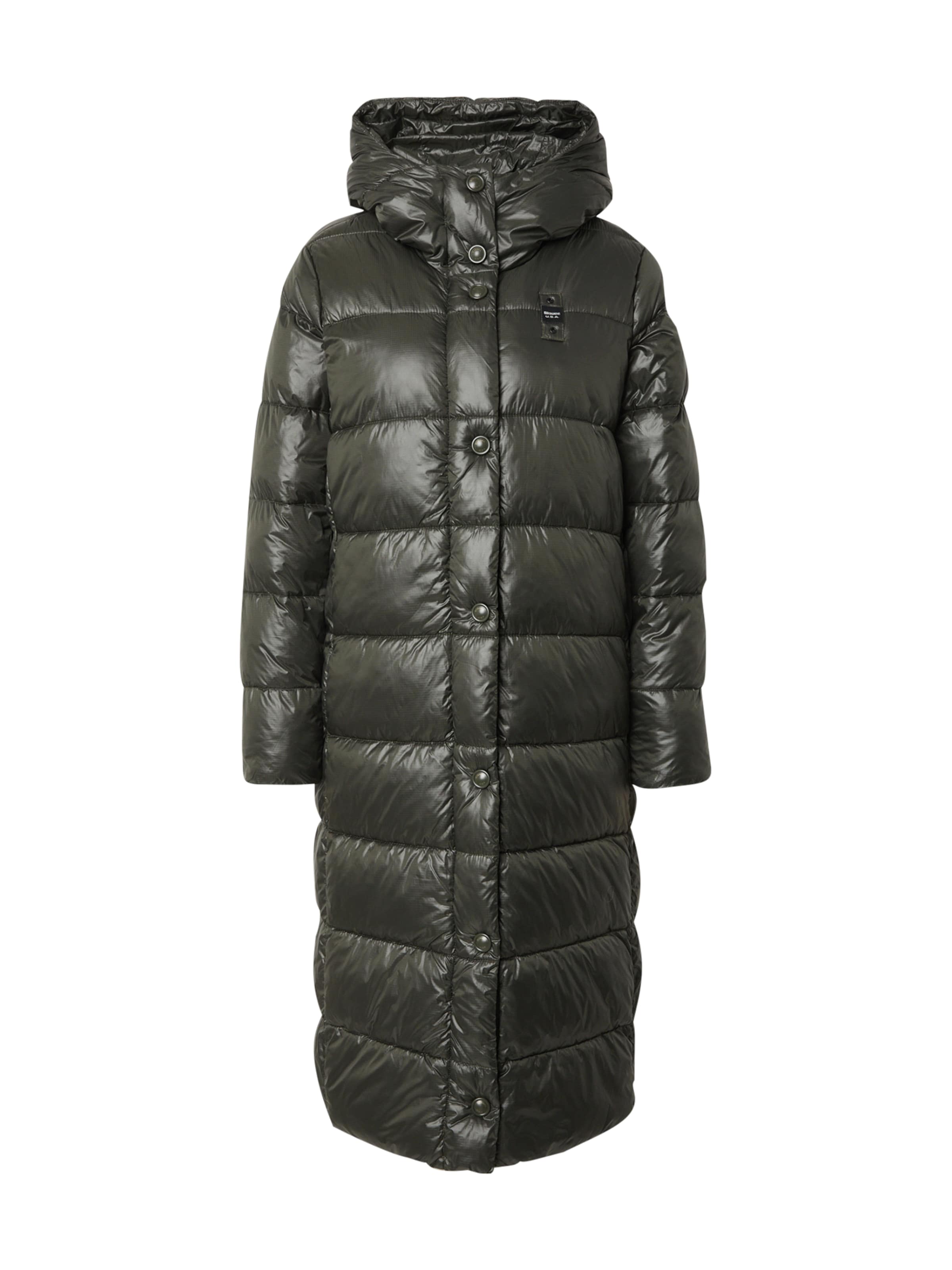 Blauer.USA Zimný kabát - Zelená: predná strana