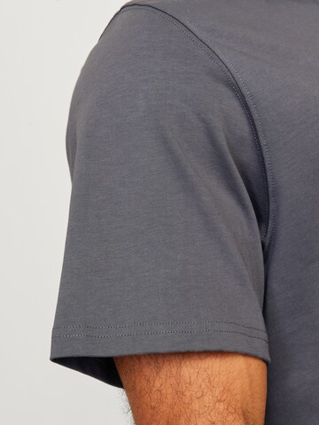 R.D.D. ROYAL DENIM DIVISION Футболка 'RDDROAD' в Серый