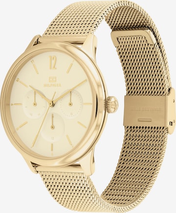 TOMMY HILFIGER Uhr in Gold