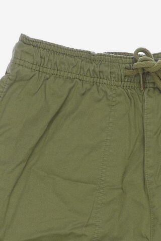 DICKIES Shorts in 31-32 in Green