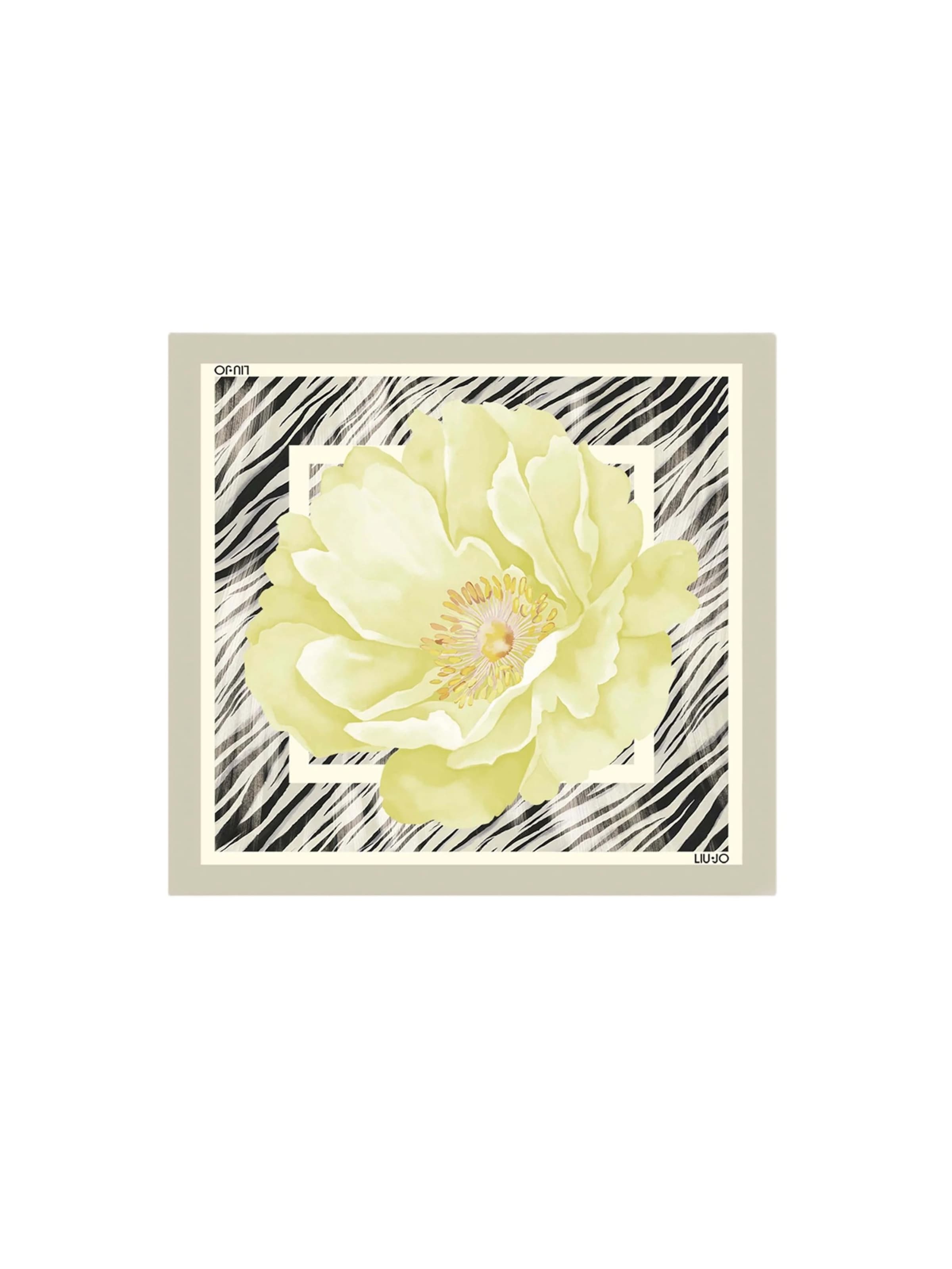 Sciarpa '2A6053 T2745' di Liu Jo in grigio: frontale