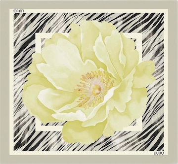 Sciarpa '2A6053 T2745' di Liu Jo in grigio: frontale