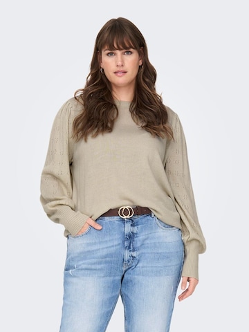 ONLY Carmakoma Trui in Beige: voorkant