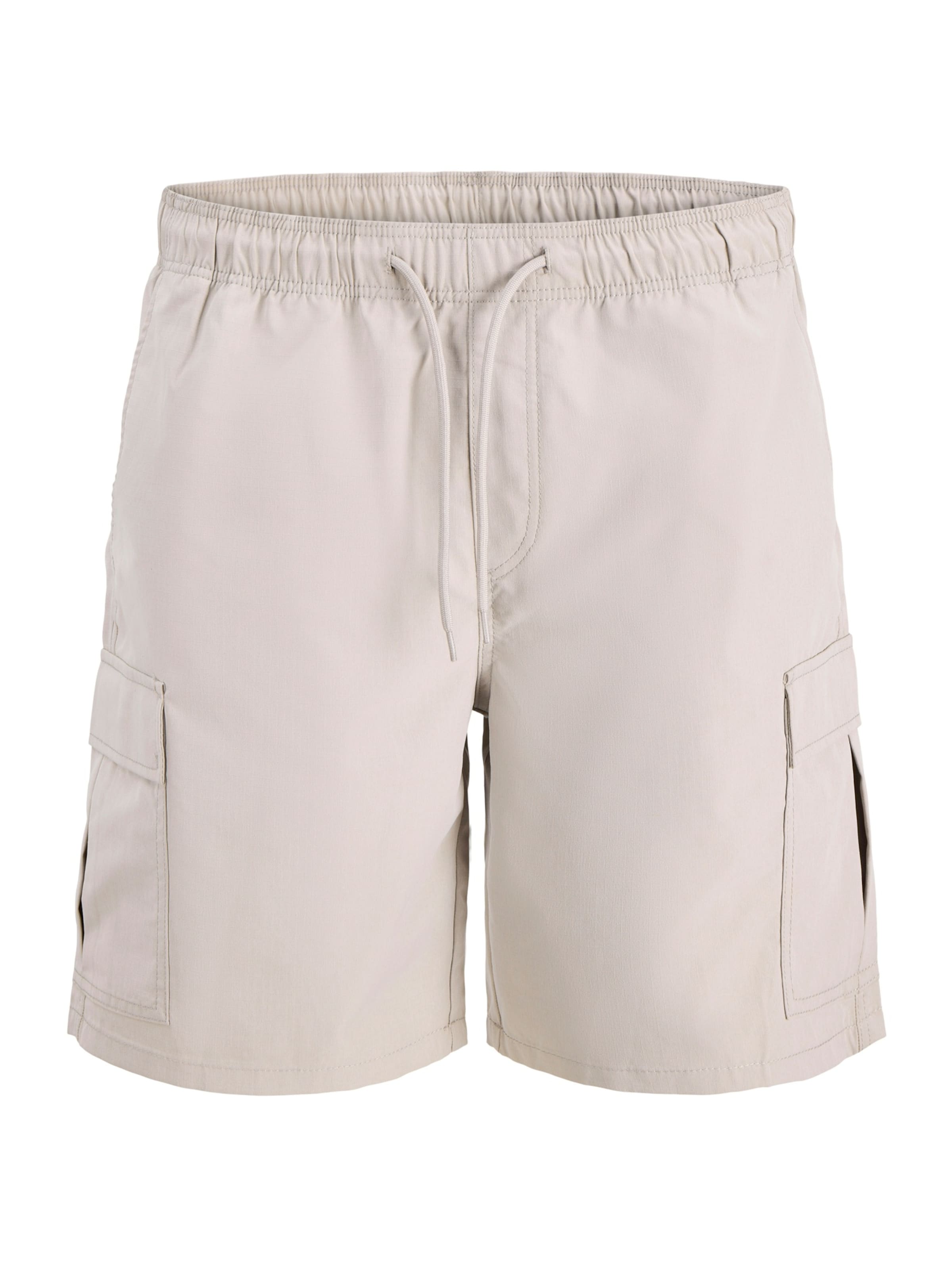 Pantalon cargo 'JREBJASON CLEO' JJ Rebel en gris : devant