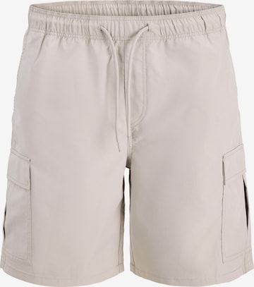 Pantalon cargo 'JREBJASON CLEO' JJ Rebel en gris : devant