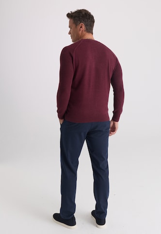 Felix Hardy Pullover in Rot
