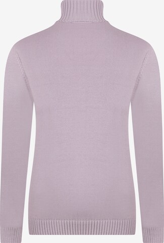 Pull-over 'Estelle' DENIM CULTURE en violet