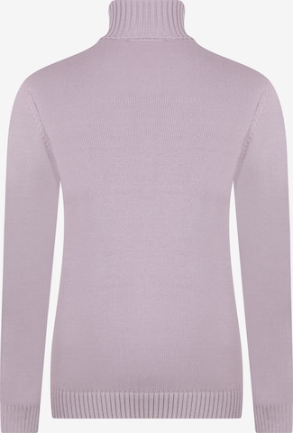 DENIM CULTURE Sweter 'Estelle' w kolorze fioletowy
