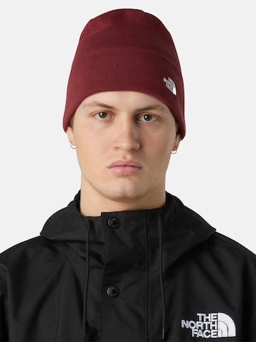 raudona THE NORTH FACE Megzta kepurė 'Norm': priekis