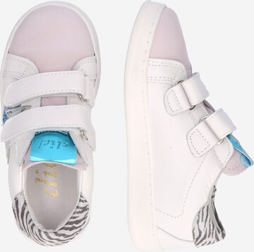 clic Sneakers i blandingsfarger