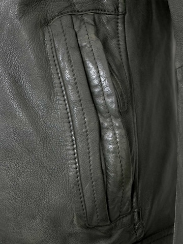 Jilani Tussenjas 'Sandoko' in Groen