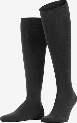FALKE Knee High Socks 'Family' in Grey: front