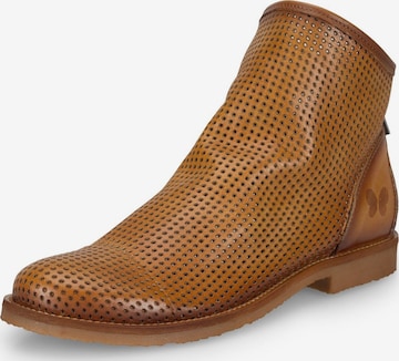 Bottines 'Clash E086' FELMINI en marron : devant