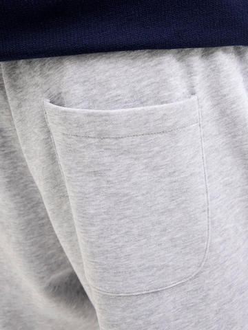JACK & JONES Regular Shorts 'JPSTBradley' in Grau