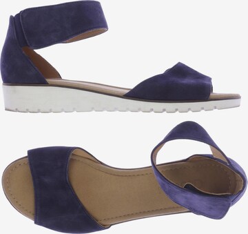 GABOR Sandals & High-Heeled Sandals in 42,5 in Blue: front