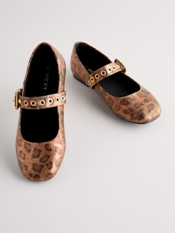 Next Ballerina in Braun