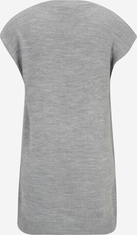 Dorothy Perkins Petite - Pullover em cinzento