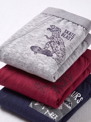 ÖTSGaće 'ÖTS Herren-Boxershorts' - miks boja boja