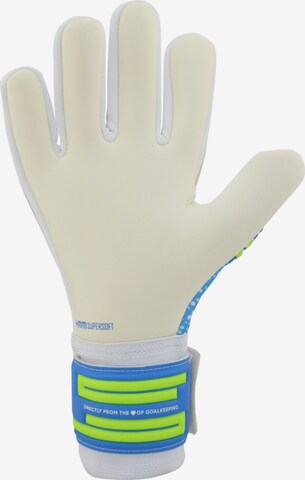 KEEPERsport Athletic Gloves in Blue