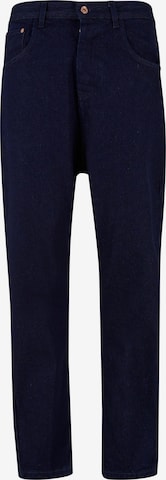 ROCAWEAR Jeans in Blue: front