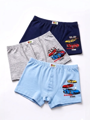 ÖTS Spodní prádlo 'ÖTS Herren-Boxershorts' – mix barev