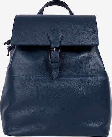 Cluty Backpack in Blue: front