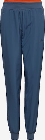 ADIDAS PERFORMANCE Workout Pants 'All SZN' in Blue: front