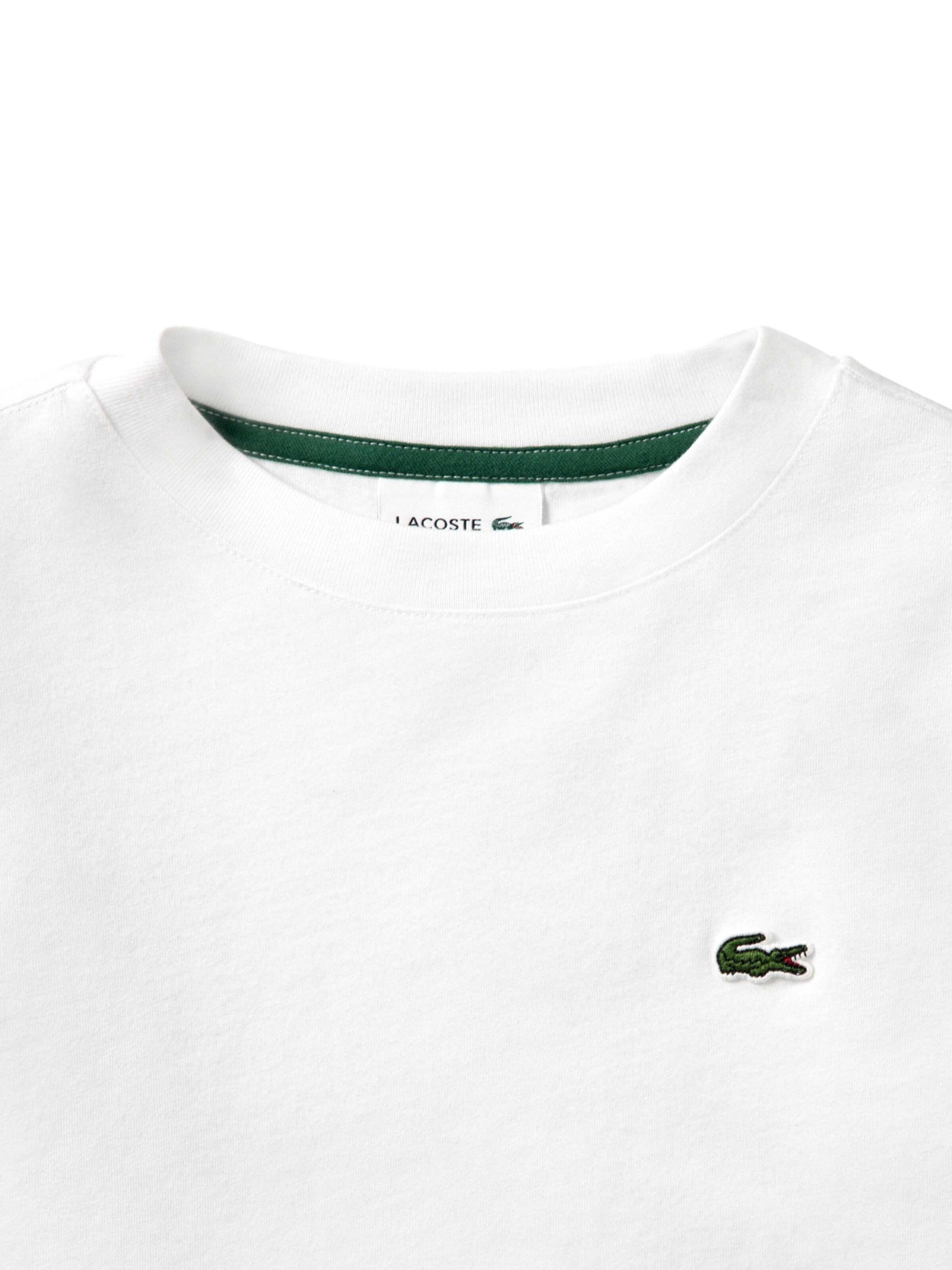 Maglietta di LACOSTE in bianco