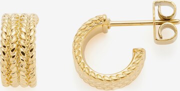 LEONARDO Earrings in Gold: front