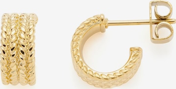 LEONARDO Earrings in Gold: front